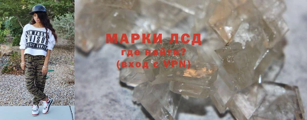 шишки Арсеньев