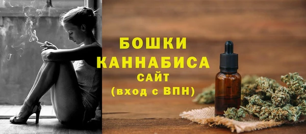 шишки Арсеньев