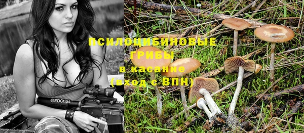 дурь Армянск