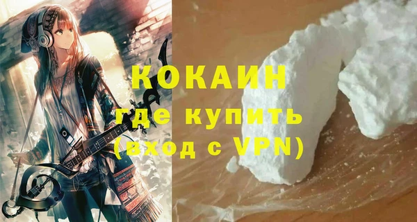 шишки Арсеньев