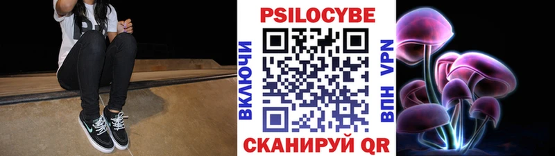 ссылка на мегу ссылка  Юрьев-Польский  Галлюциногенные грибы Psilocybine cubensis 