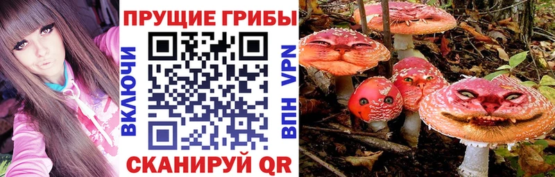 Галлюциногенные грибы Psilocybine cubensis Юрьев-Польский
