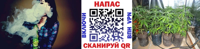 Канабис конопля  Юрьев-Польский 